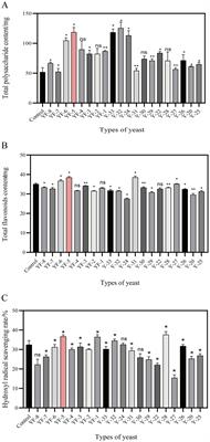 Preparation of safflower fermentation solution and study on its biological activity